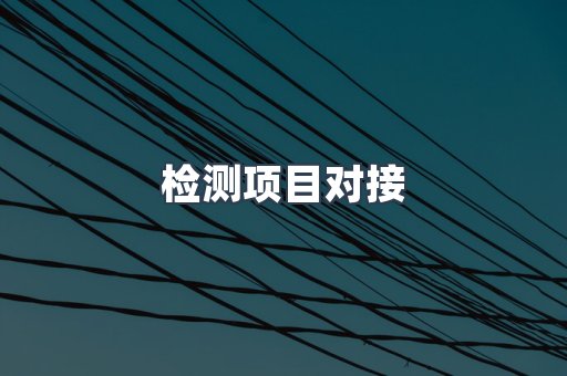 检测项目对接